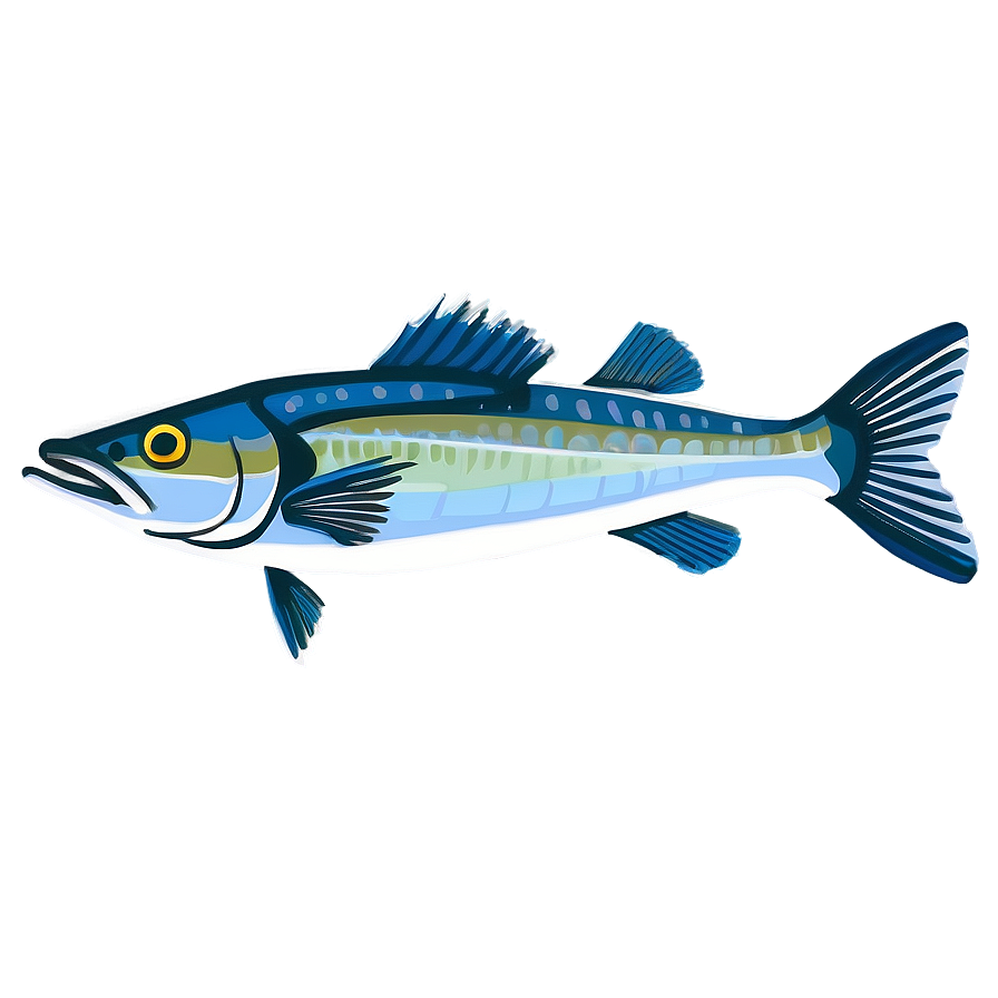 Barracuda Fish Png 39