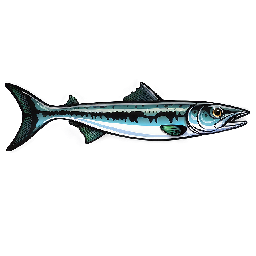 Barracuda Illustration Png Ovd85