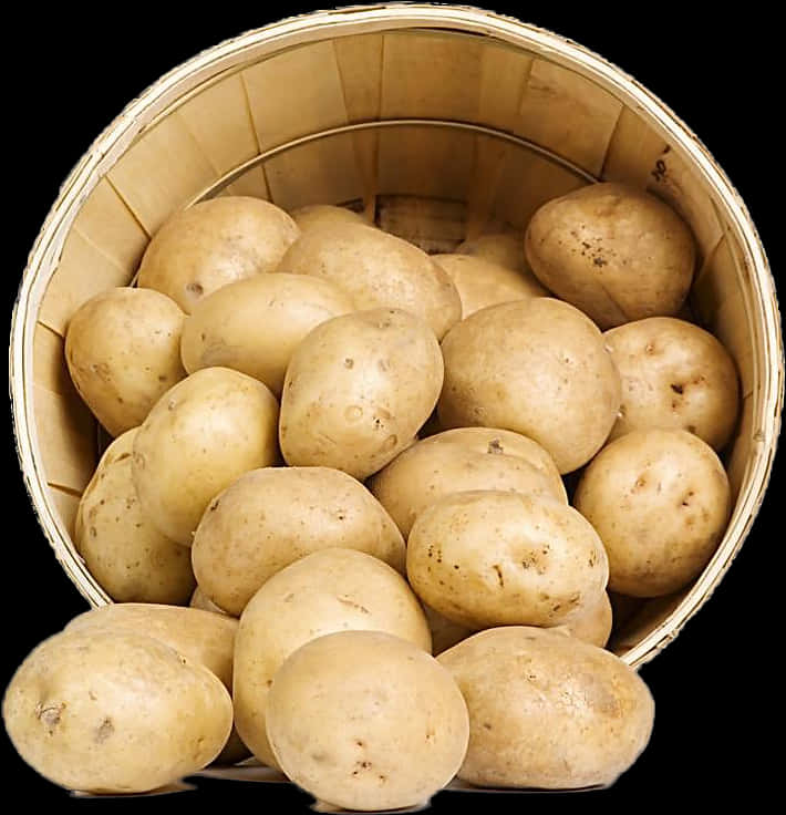 Basketof Fresh Potatoes.jpg