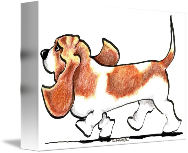 Basset Hound Sketch Artwork