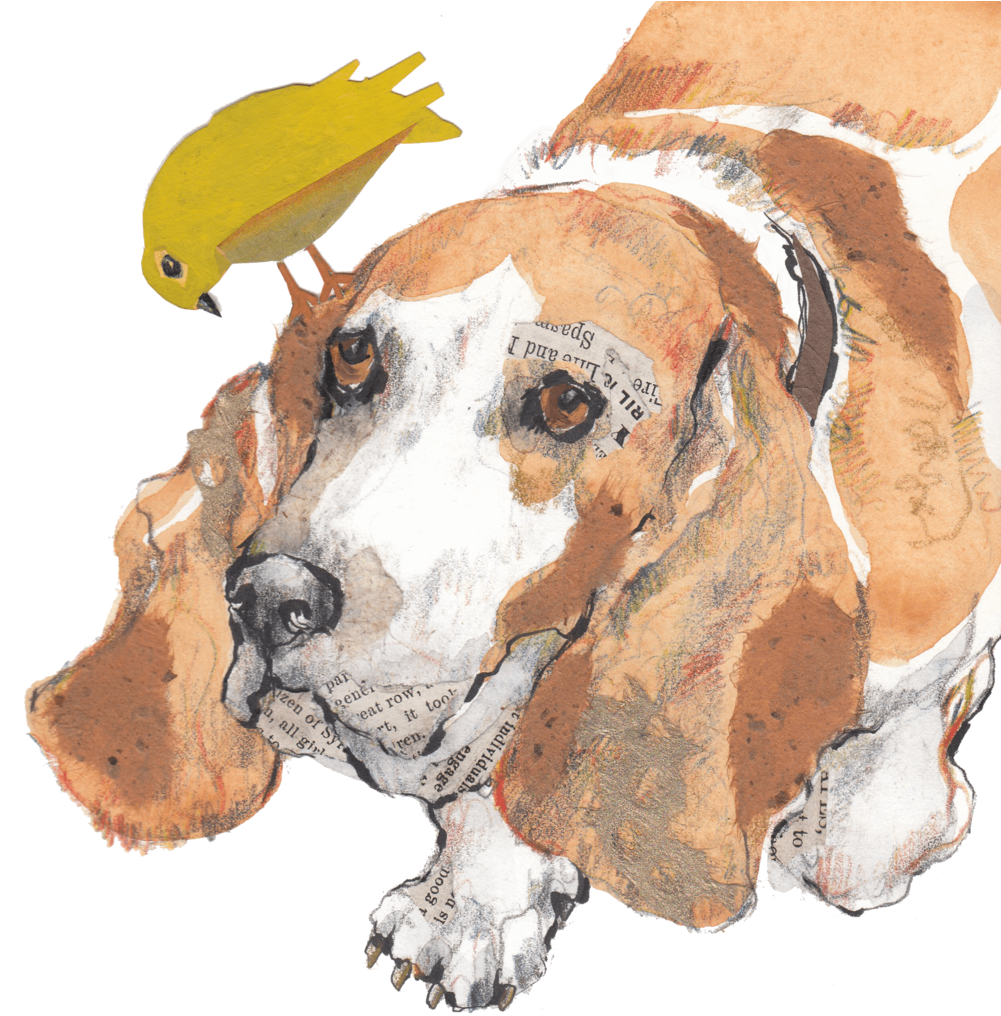 Basset Houndand Bird Artwork