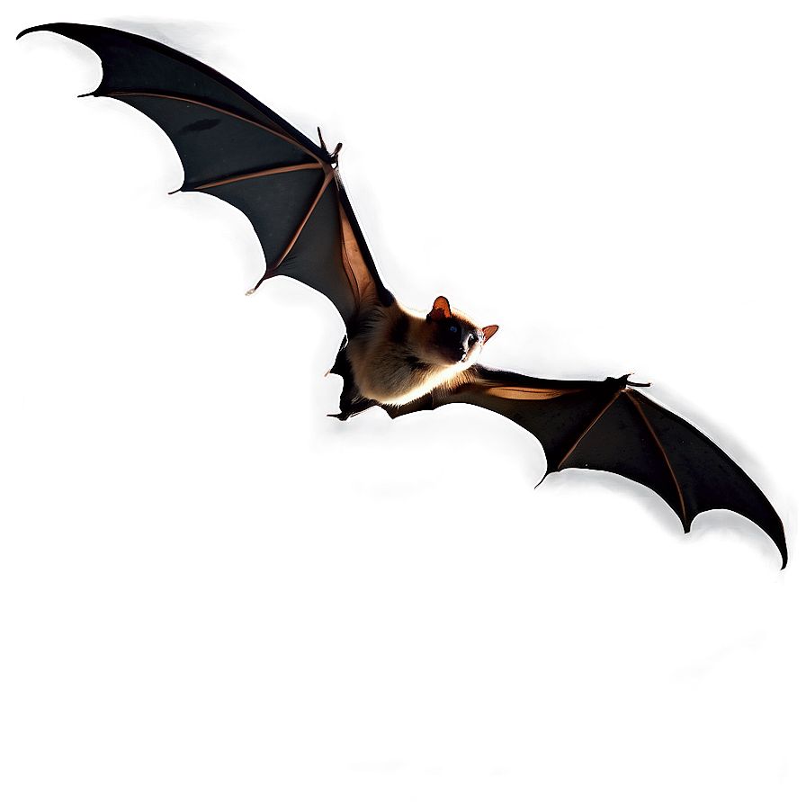 Bats Flying In Dusk Png Tdx