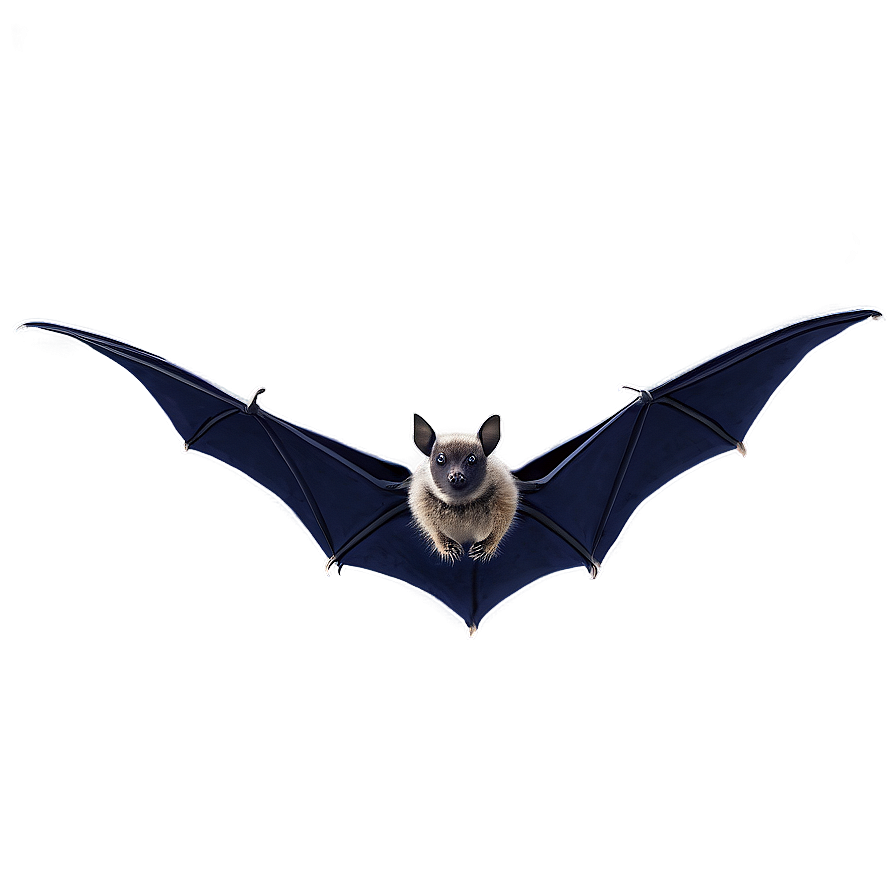 Bats Swarm Overlay Png 05232024