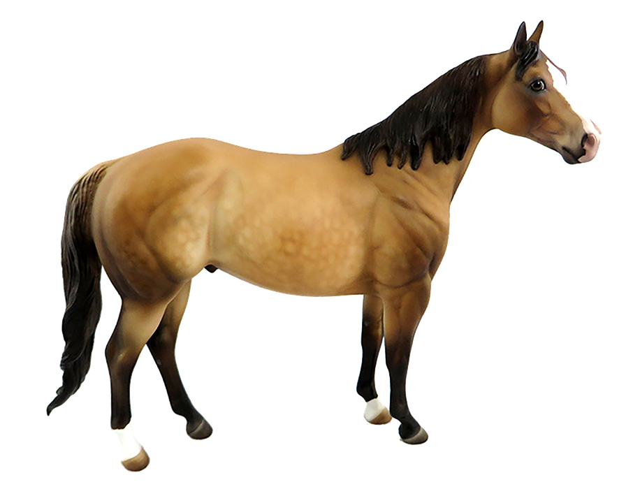 Bay Horse Standing Transparent Background