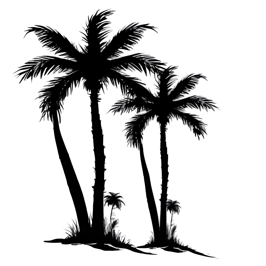 Beach Palm Silhouette Png 36