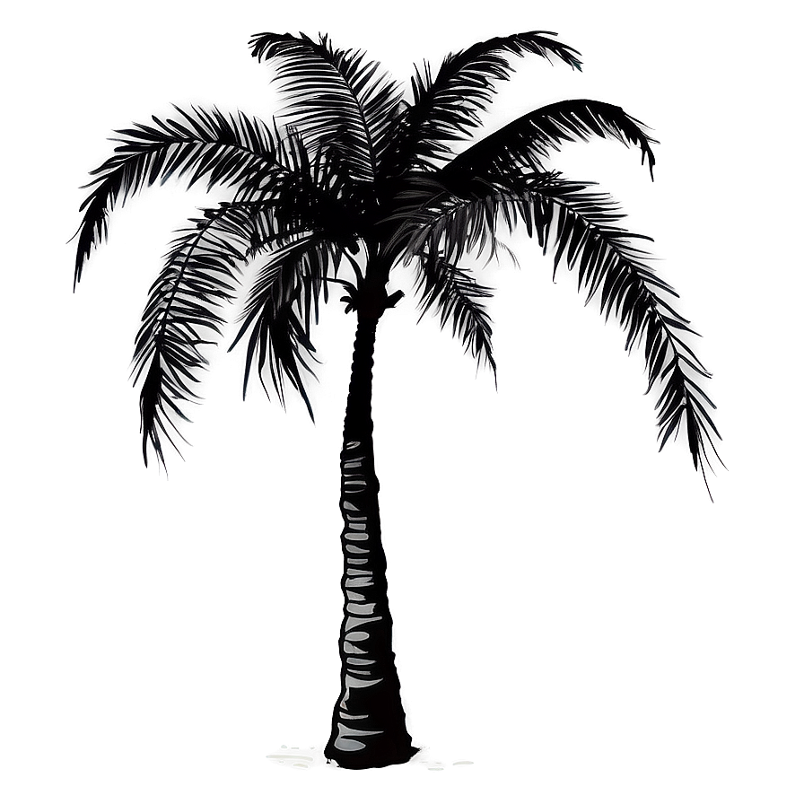 Beach Palm Silhouette Png Mgo74