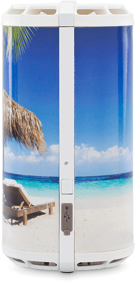 Beach Themed Shower Dispenser