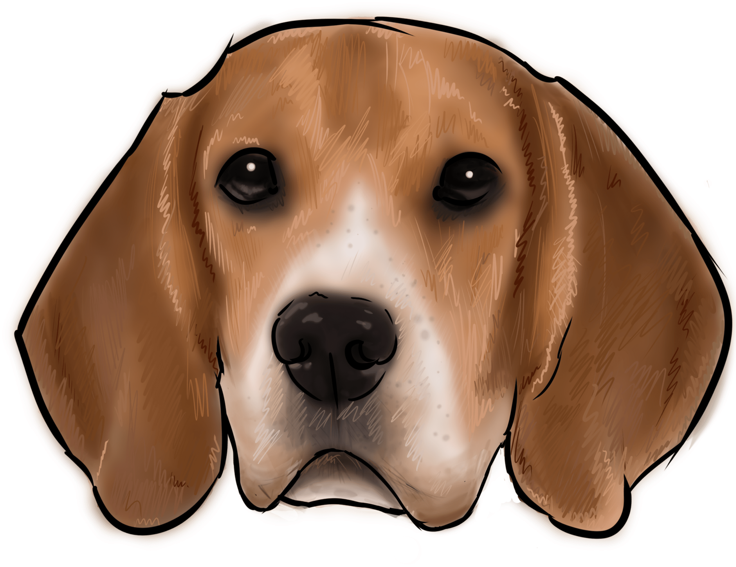 Beagle Head Illustration