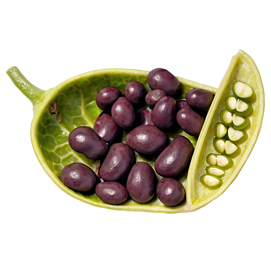 Bean Pod Open Png Grr