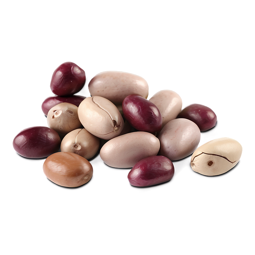 Beans Animation Png Qvs11