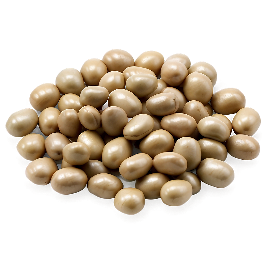 Beans Clipart Png 05242024