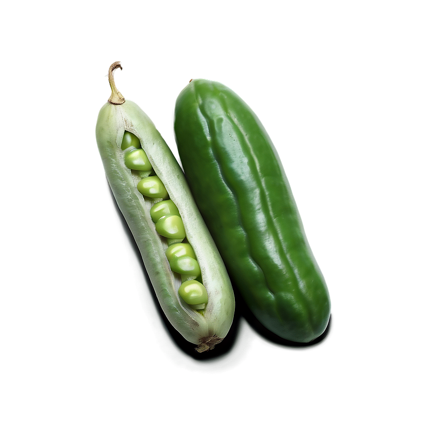 Beans Graphic Png Ebk63