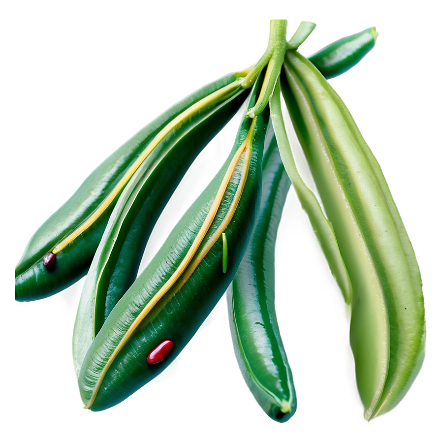 Beans Plant Png Gyy
