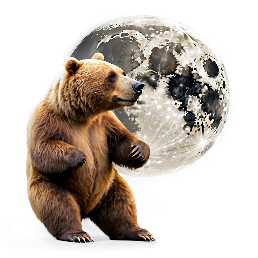 Bear And Moon Png 18