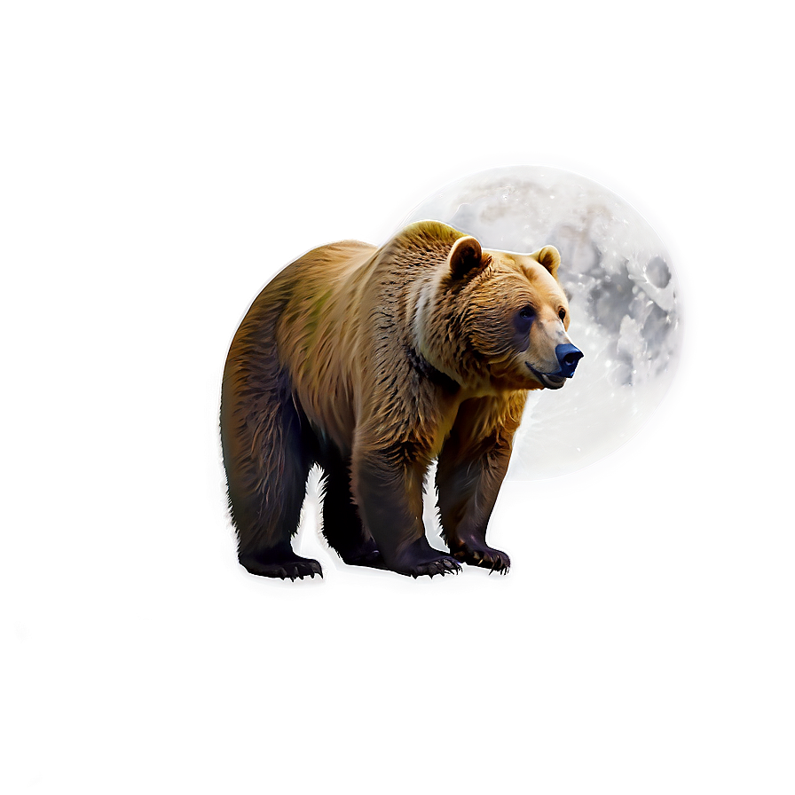 Bear And Moon Png Wxi36