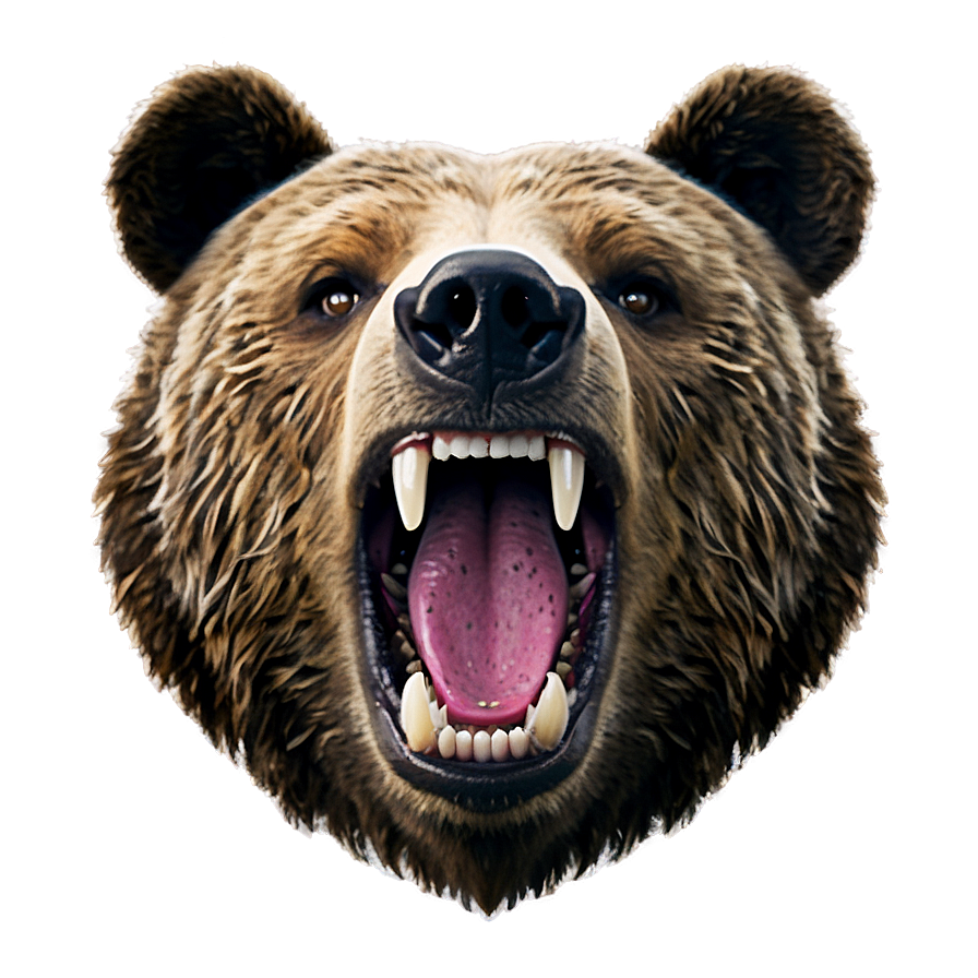 Bear Face Emoji Png 05032024