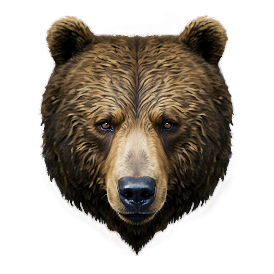 Bear Face Png Mjg26