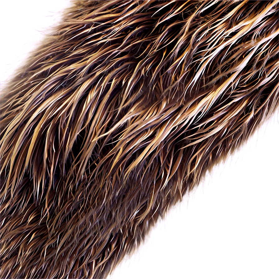 Bear Fur Texture Png Anq66