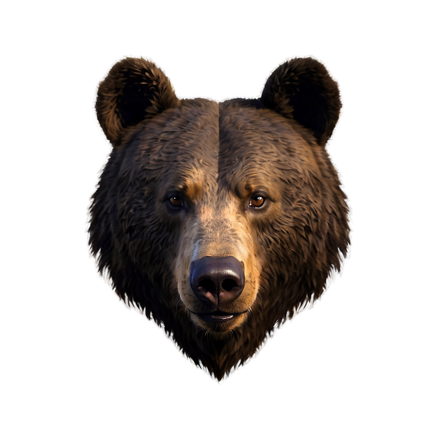 Bear Head Png 06112024