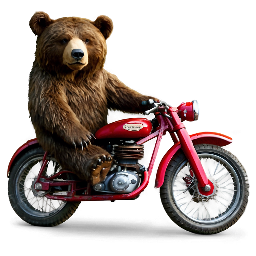 Bear On Bike Png Qmc86