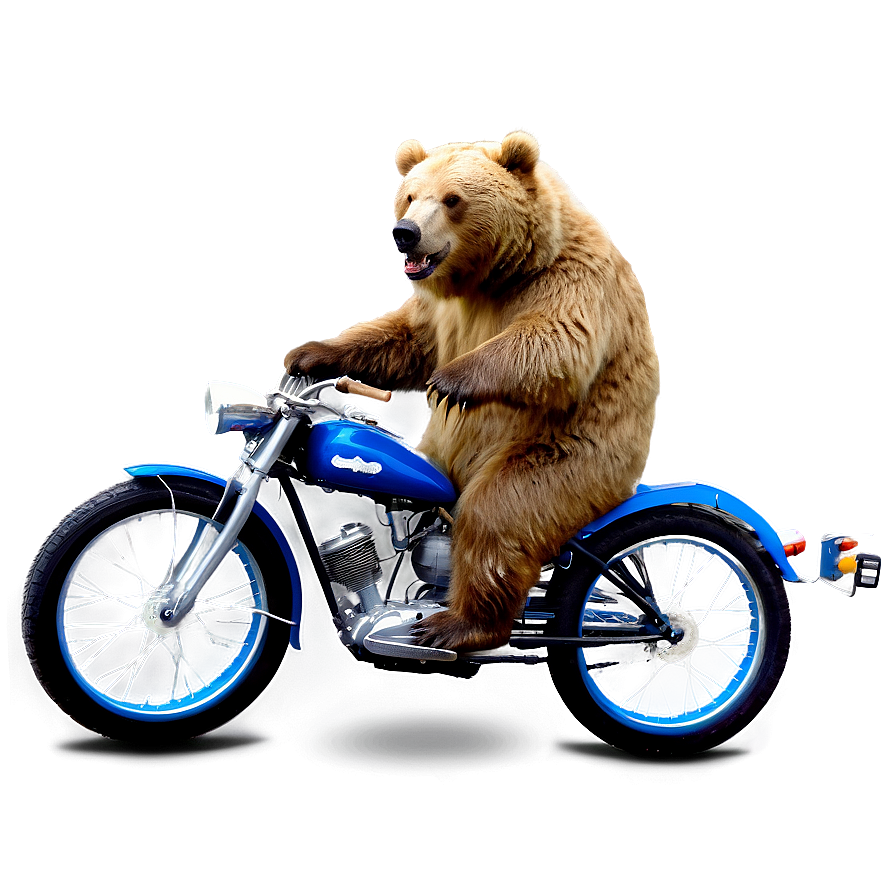 Bear On Bike Png Tue11