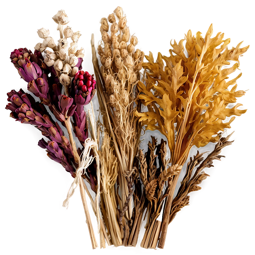 Beautiful Dried Bouquets Png Mhf