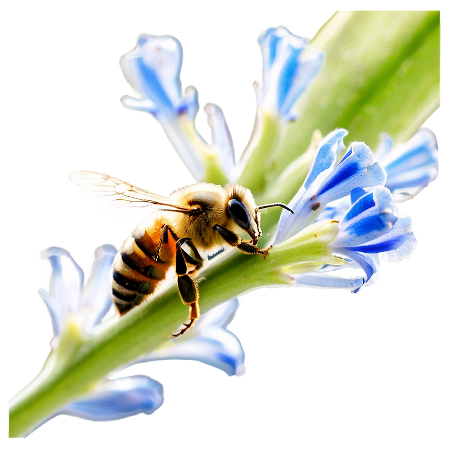 Bee In Nature Png Nag6