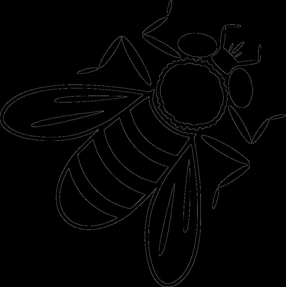 Bee Line Art Illustration