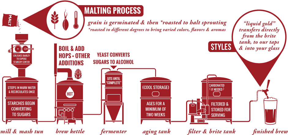 Beer Brewing Process Infographic