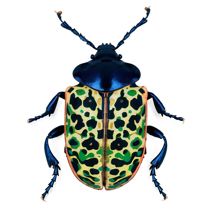 Beetle Camouflage Technique Png Bjl