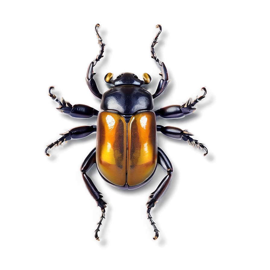 Beetle In Amber Png 34