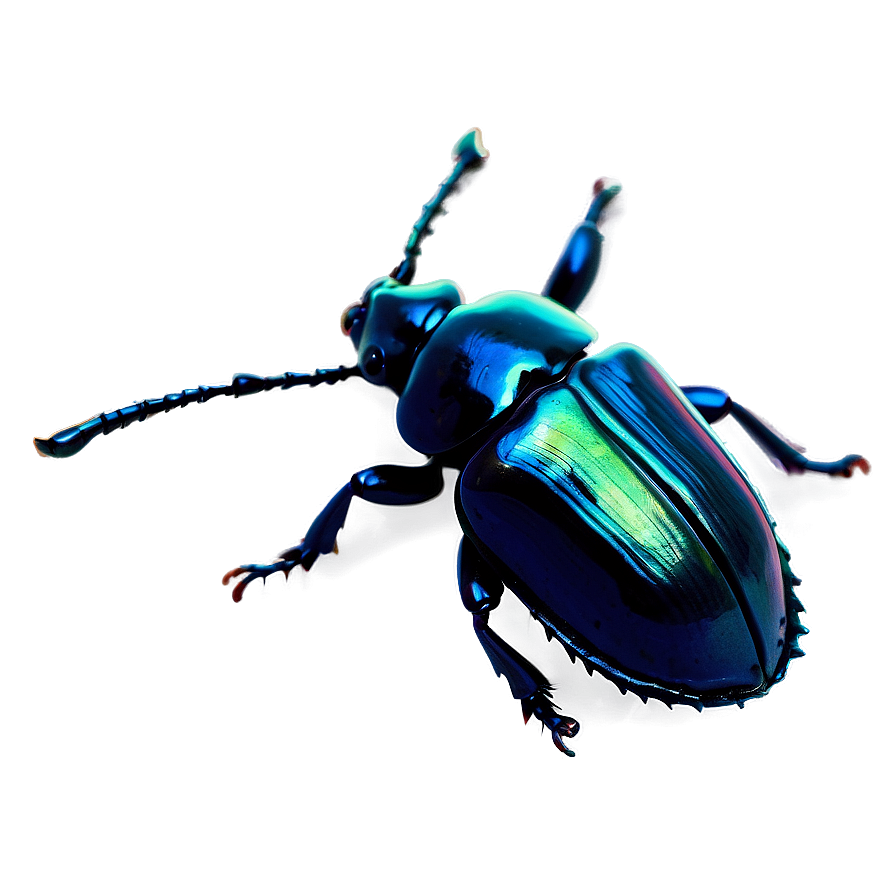 Beetle In Nature Background Png Hee