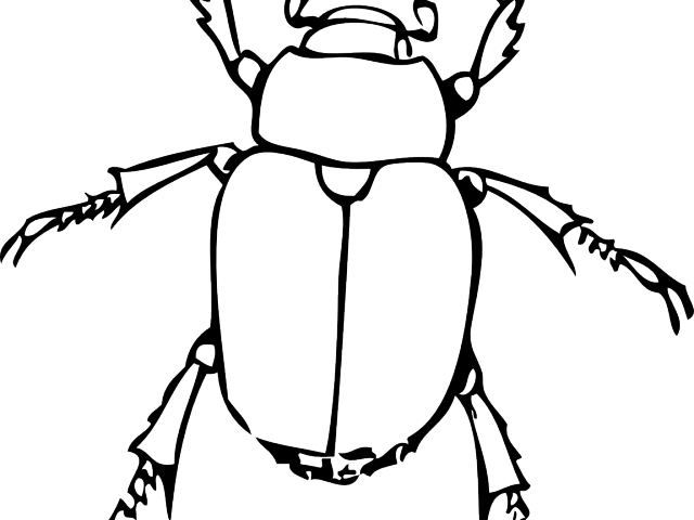 Beetle Silhouette Outline