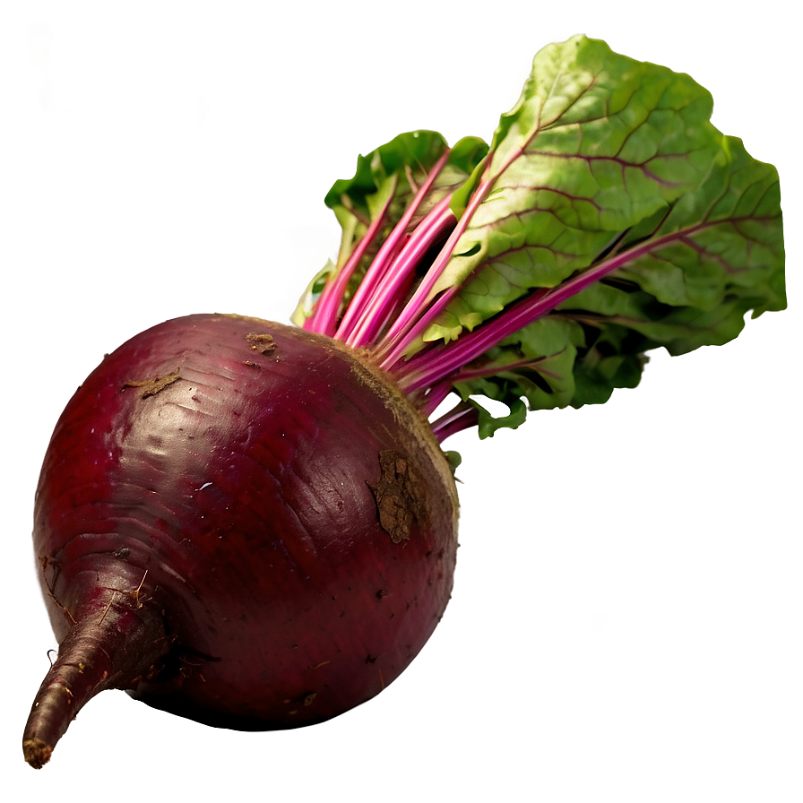 Beetroot Png Qqk