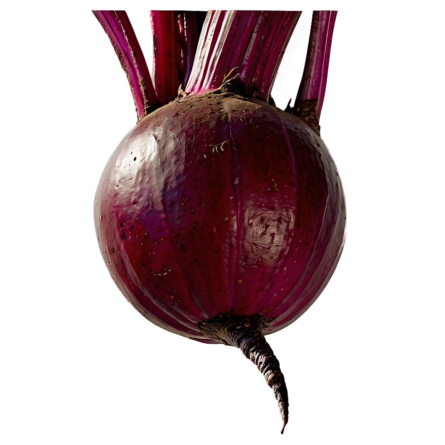 Beetroot Png Smt20