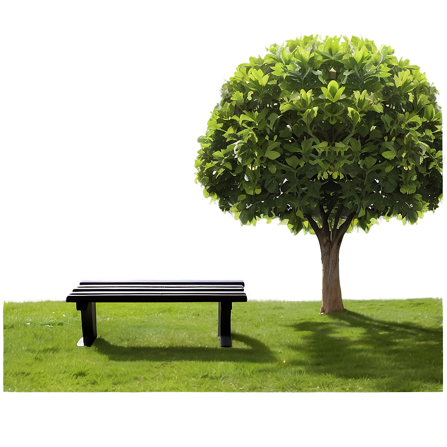 Bench Under Tree Png 05232024