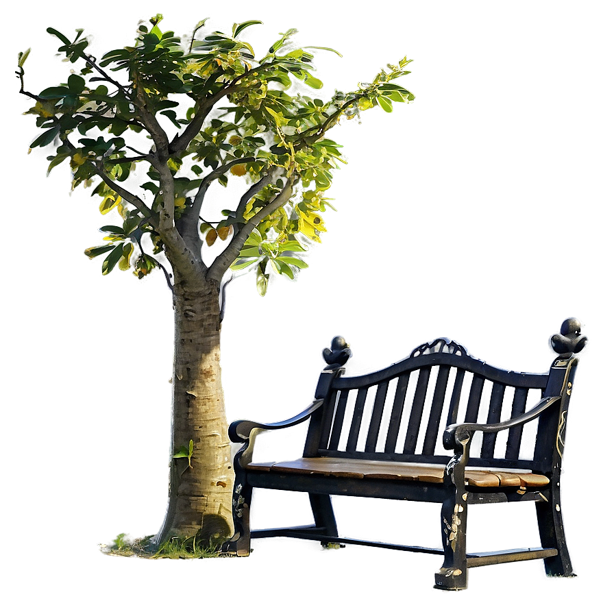 Bench Under Tree Png 43