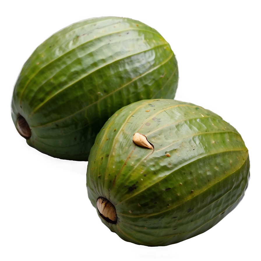 Betel Nut Png Euq26