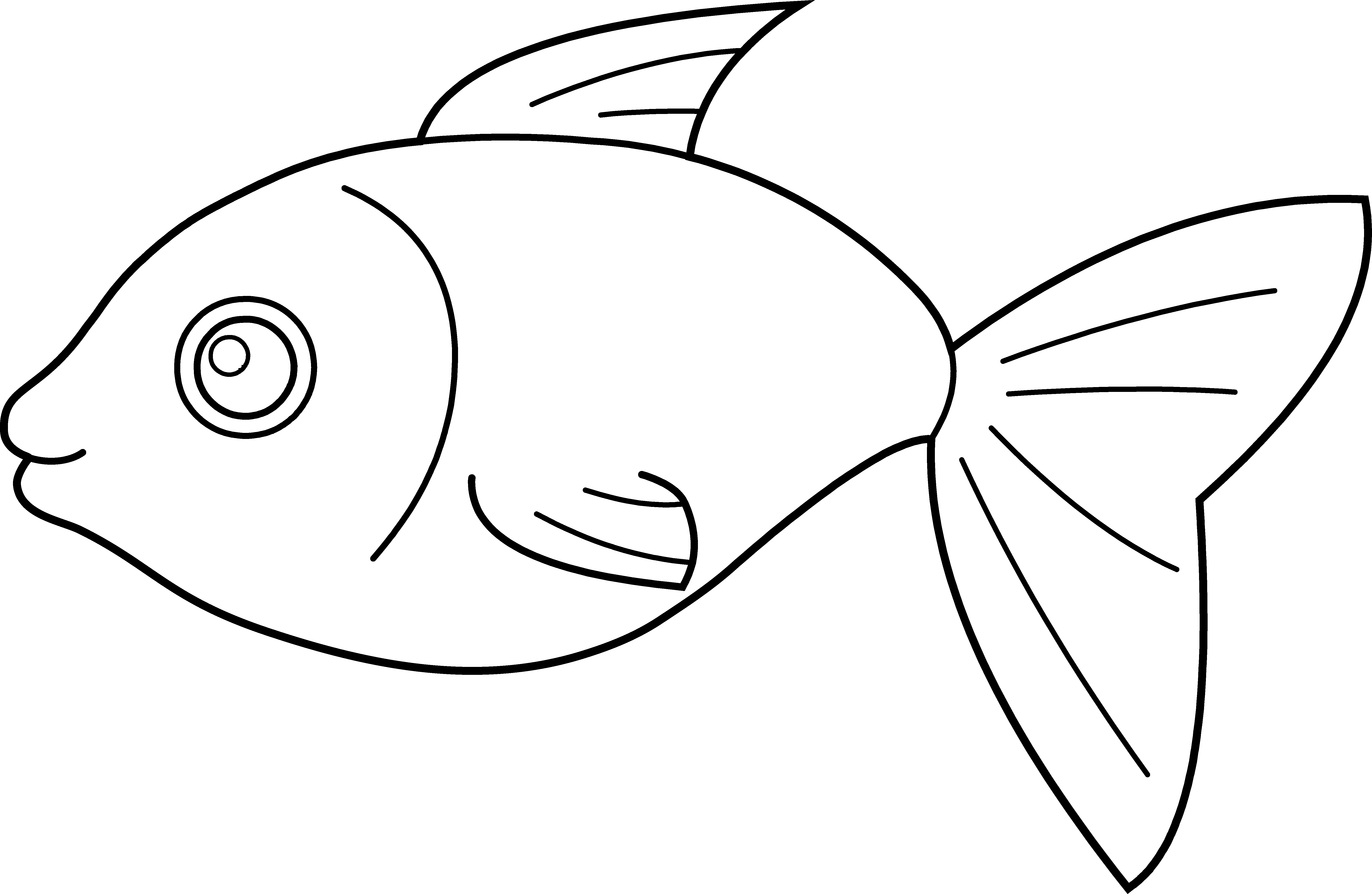 Betta Fish Line Art Illustration