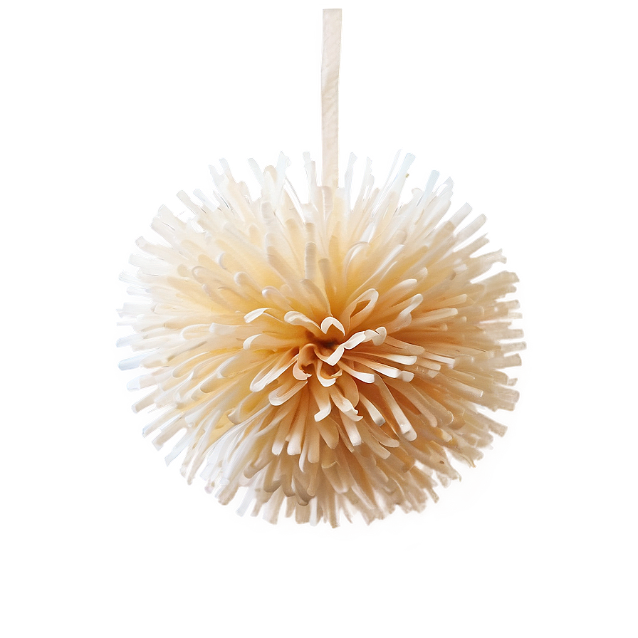 Biodegradable Pom Poms Png 06132024