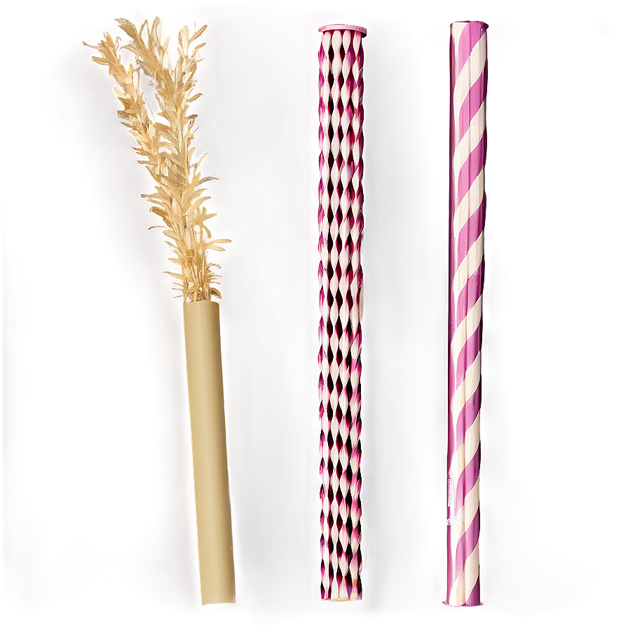 Biodegradable Straw Png Eyj27