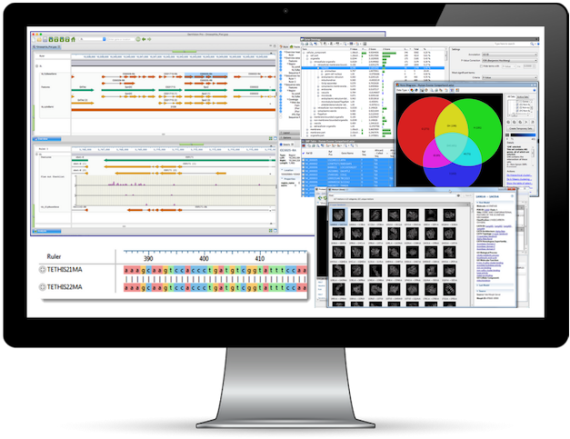 Bioinformatics Software Interface