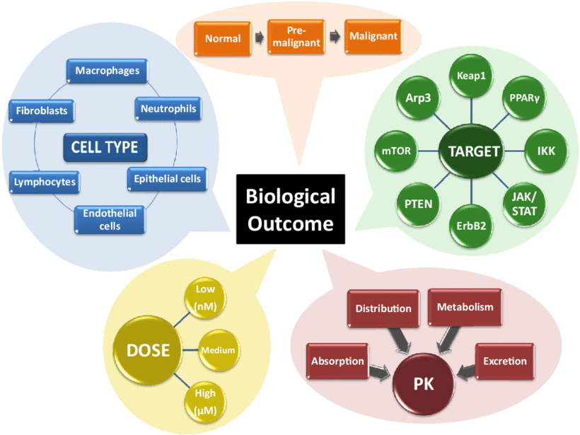 Biological_ Outcome_ Concept_ Map