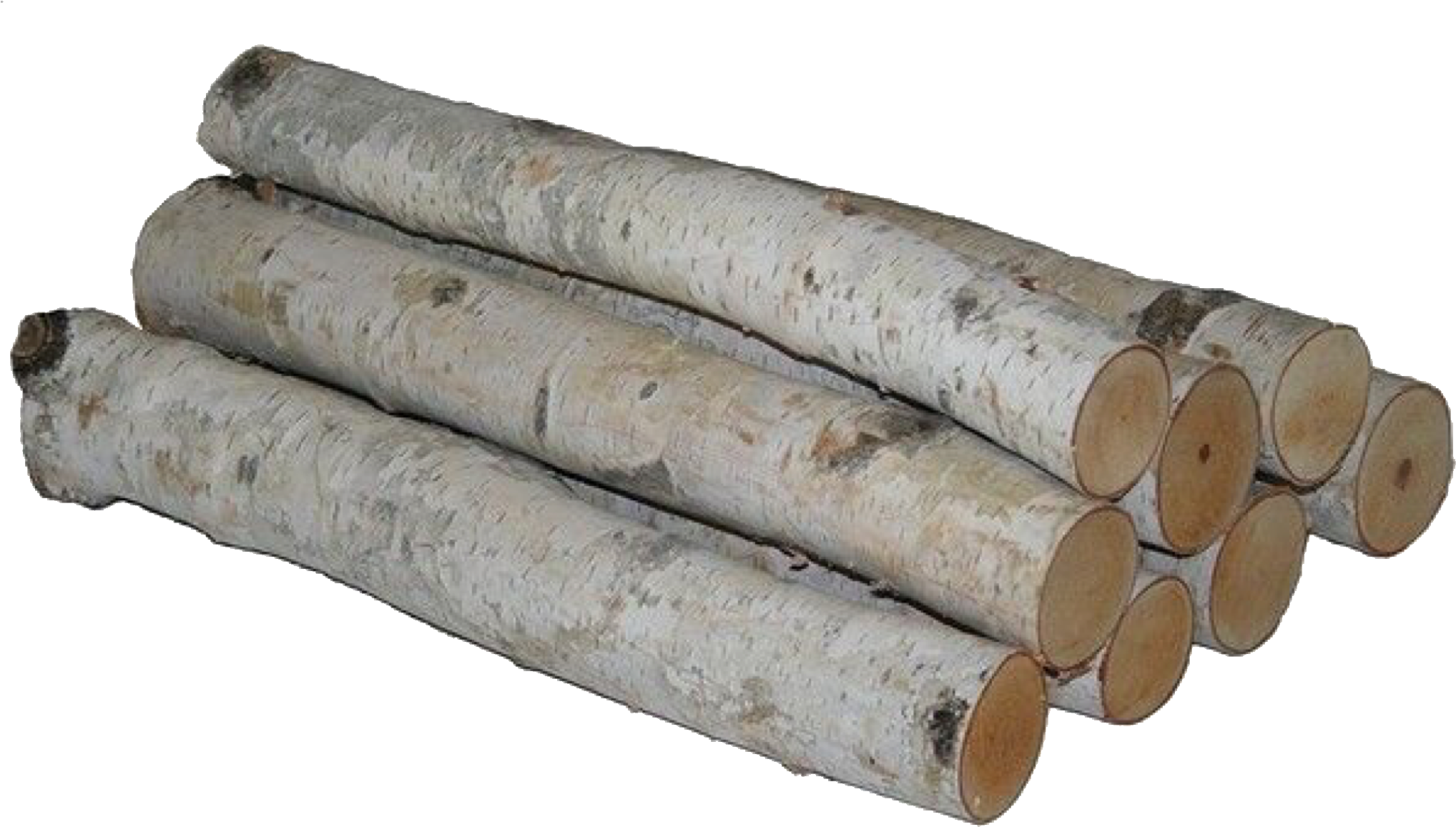 Birch Logs Isolated Background