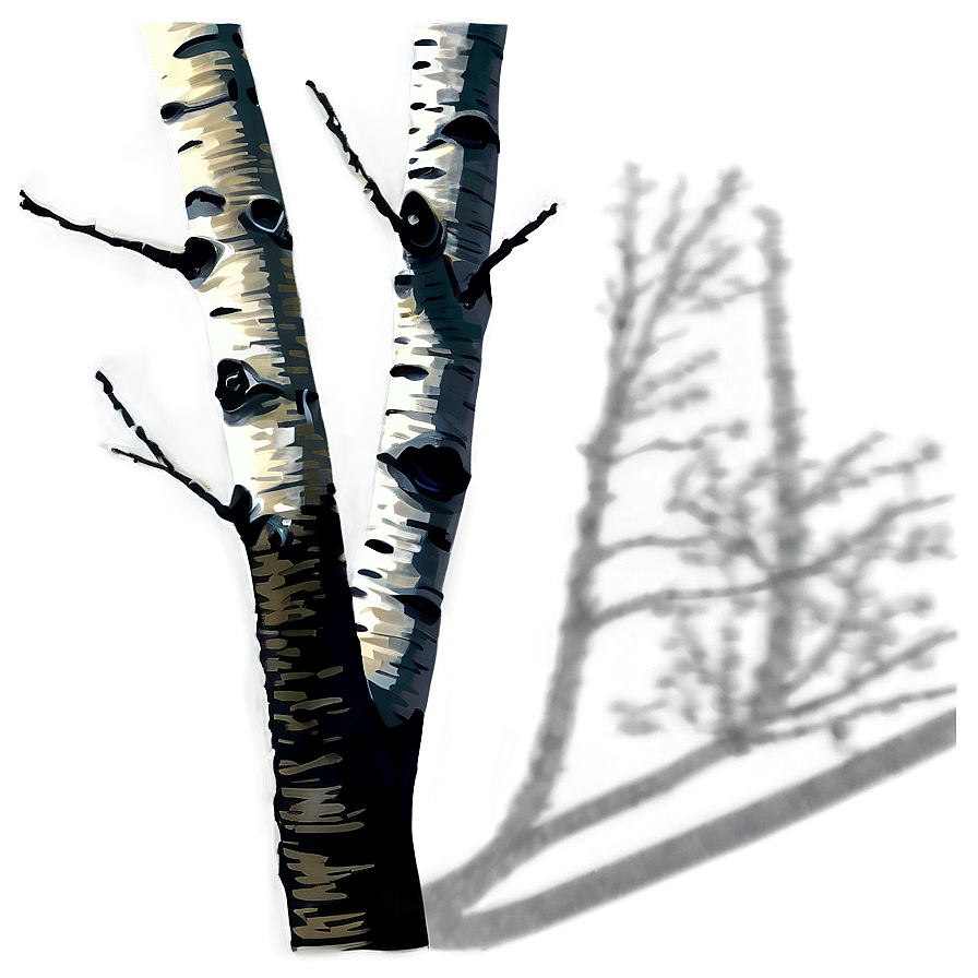 Birch Tree Shadow Png Neo