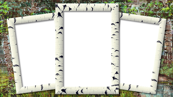 Birch Triptych Frames Garden Background