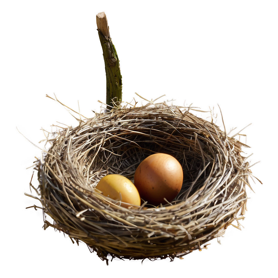 Bird Nest In Autumn Png Eec87