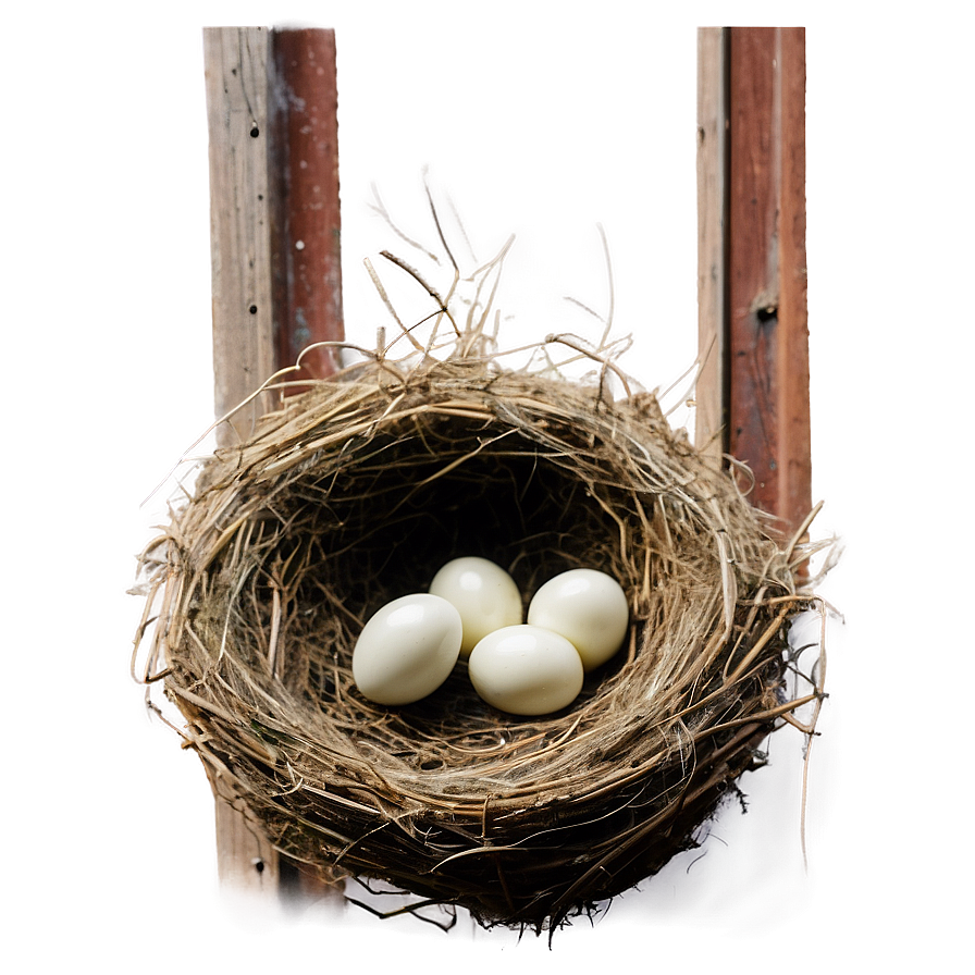 Bird Nest In Barn Png Bho