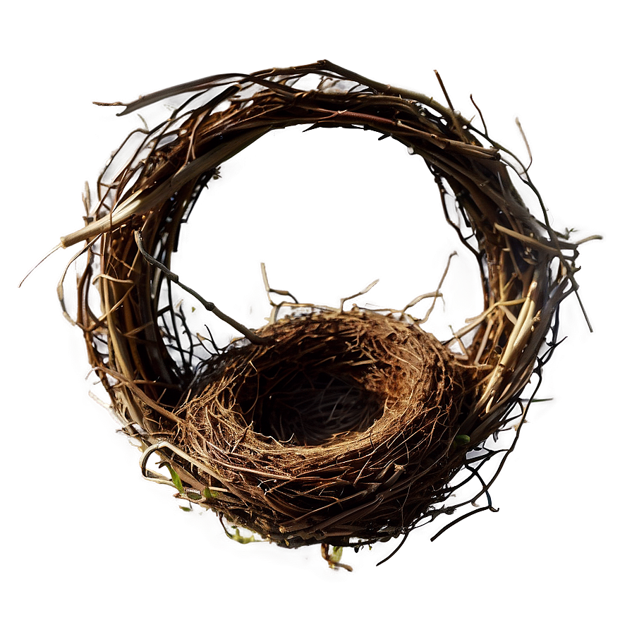 Bird Nest In Garden Png 06212024