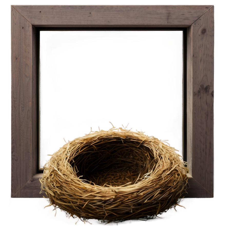 Bird Nest On Window Sill Png Lkl1